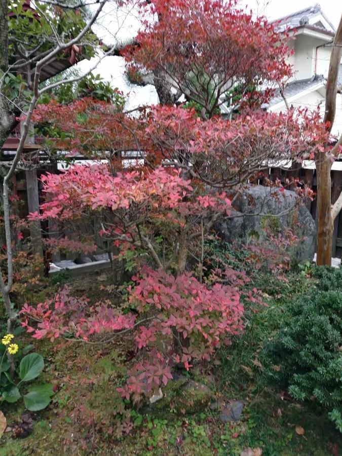 ゲストハウス山本 Gifu Exterior foto
