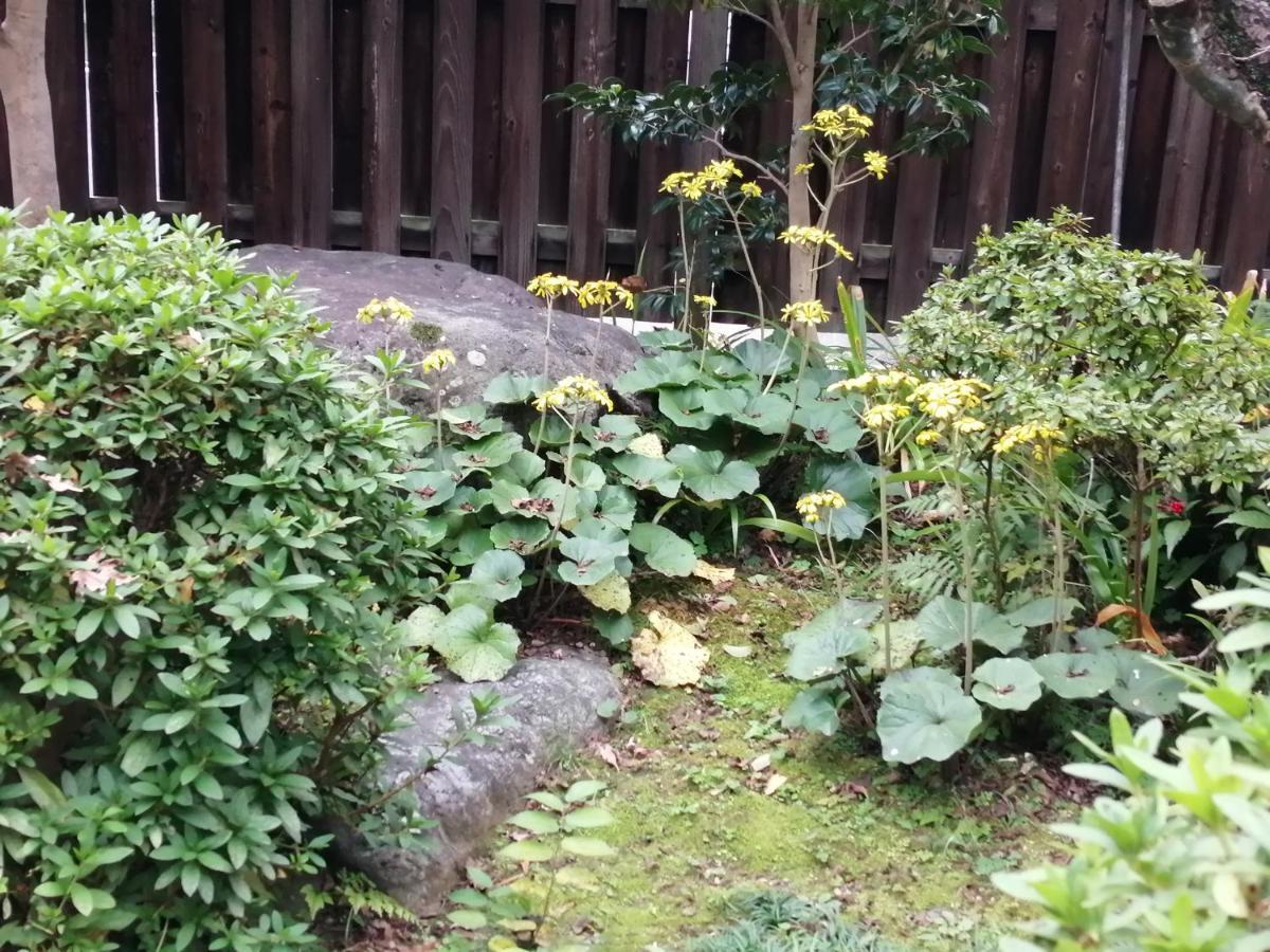 ゲストハウス山本 Gifu Exterior foto
